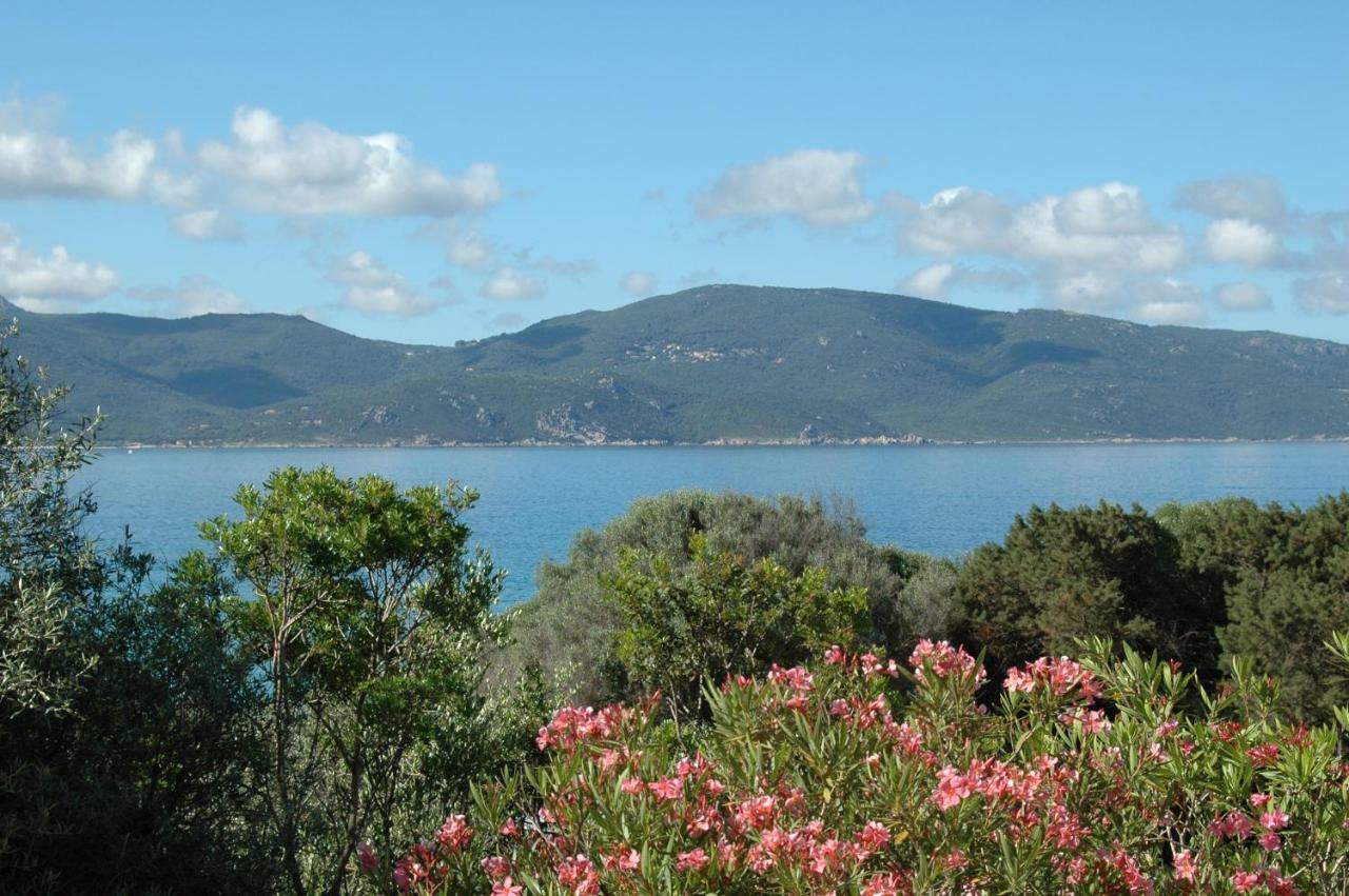 Residence Capicciolo Olmeto (Corsica) Exterior foto